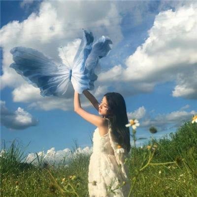重生之我在2005年种树